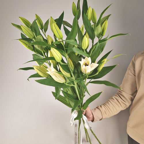 Букет из 5 белых лилий без упаковки №51494Дв